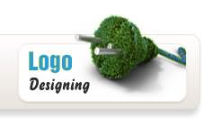 Custom Website Design Company, Static, Dynamic. flash Website Designing